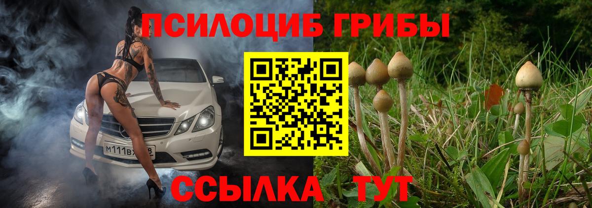 Псилоцибиновые грибы Psilocybine cubensis  Вход с VPN  Коммунар 